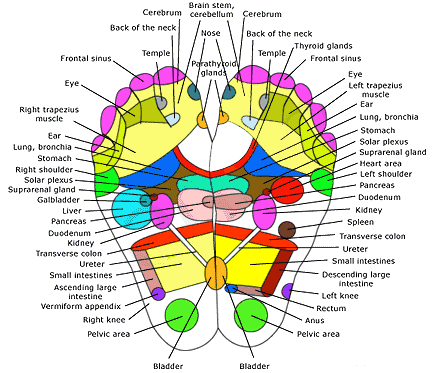 Reflexology